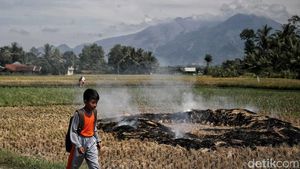 Gunung Guntur Dicemari Doktrin Islam Radikal