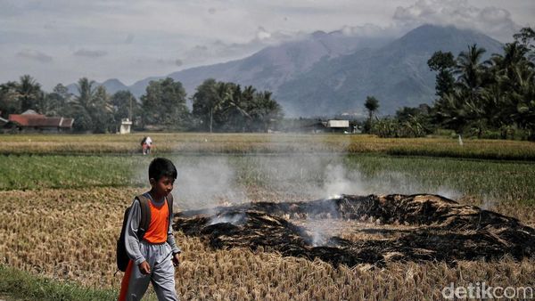 Gunung Guntur Dicemari Doktrin Islam Radikal