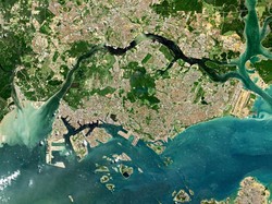 Apa Itu Hari Habitat Sedunia? Simak Asal-usul dan Link Twibbon-nya