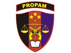 Akun Instagram Divpropam Polri Menghilang