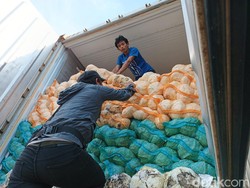 Kapal MV Mathu Bhum Ditahan, 156 Ton Kol Membusuk, Pengusaha Rugi