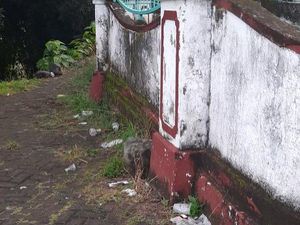 Sampah Berserakan di Museum Villa Yuliana Soppeng Disorot