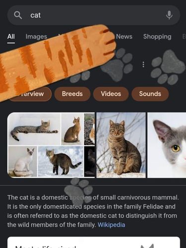 Tombol rahasia Google yang menampilkan animasi kucing