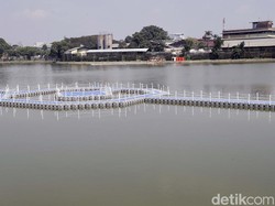 Menjelajahi Situ Rawa Kalong yang Baru Diresmikan Ridwan Kamil dan Bonge