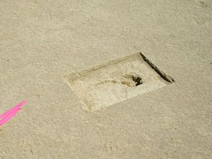 88 Jejak Kaki Hantu Ditemukan di Tempat Latihan Tentara AS