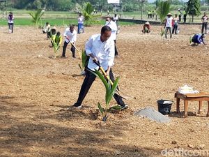 Tanam Kelapa Genjah di Boyolali, Jokowi: Targetnya 1 Juta Bibit Se-Indonesia Tanam Kelapa Genjah di Boyolali, Jokowi: Targetnya 1 Juta Bibit Se-Indonesia