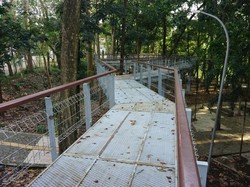 5 Rekomendasi Tempat Lari di Yogyakarta, Bikin Makin Betah Olahraga