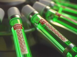 Makin Waspada, Taiwan Ciptakan Tes PCR untuk Deteksi Virus Baru Langya Makin Waspada, Taiwan Ciptakan Tes PCR untuk Deteksi Virus Baru Langya