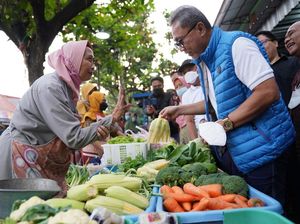 Cek Harga Bahan Pokok di Yogya, Zulhas: Sebagian Besar Sudah Stabil