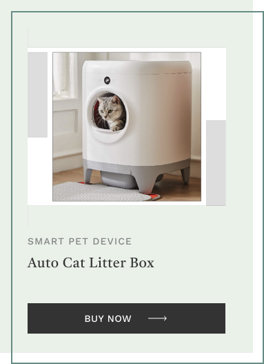 Auto Cat Litter Box