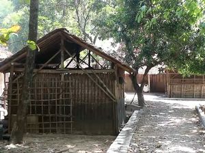 Unik! Dusun di Pati Ini Hanya Dihuni 4 Rumah Unik! Dusun di Pati Ini Hanya Dihuni 4 Rumah