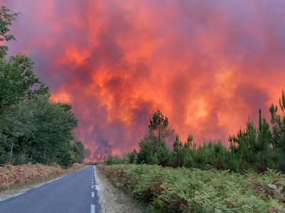 Api Mengamuk di Gironde Prancis, Hutan dan Langit Merah Padam