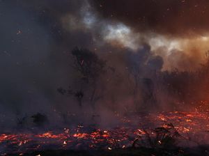 Cegah Kebakaran Hutan Meluas, California Manfaatkan Teknologi AI