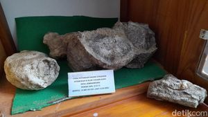 Melihat Aneka Fosil yang Ditemukan di Jembarwangi Sumedang