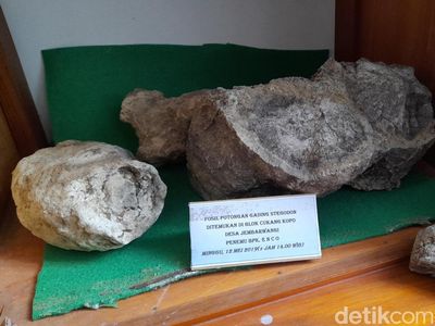 Melihat Aneka Fosil yang Ditemukan di Jembarwangi Sumedang