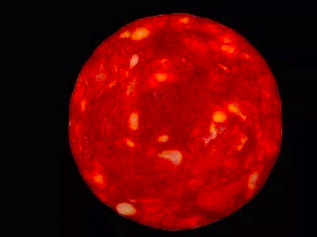 Prank! Foto Bintang dari Teleskop James Webb Ini Ternyata Cuma Sosis