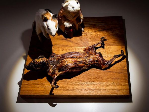 Hati-Hati Muntah! Museum Ini Tampilkan Makanan Paling Menjijikkan