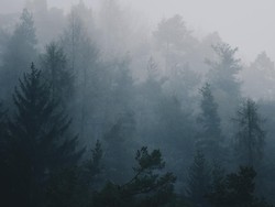 Prakiraan Cuaca Bandung, Selasa 31 Desember 2024: Berkabut