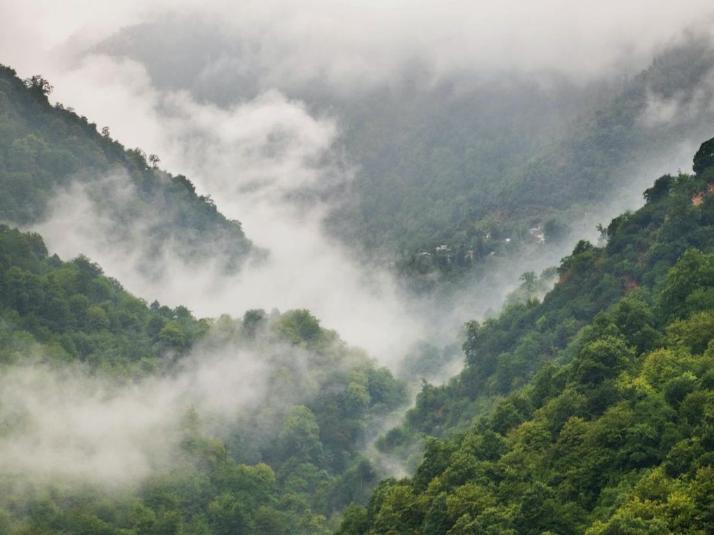 3 Lembah di Jawa Tengah, Surga Tersembunyi di Kaki Slamet-Merapi