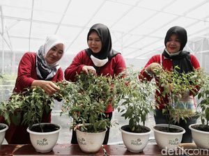 Kolaborasi Adalah: Tujuan, Manfaat, dan Contoh Kolaborasi