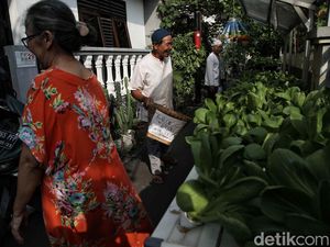 Wow! Masih Ada Perkampungan Seasri Ini di Tengah Jakarta Wow! Masih Ada Perkampungan Seasri Ini di Tengah Jakarta