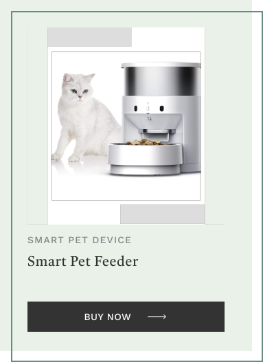 Smart Pet Feeder