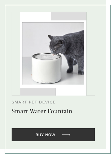 Smart Water Fountain
