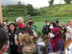 Ganjar Genjot Pasokan Bawang Putih Jateng Lewat Learning Center