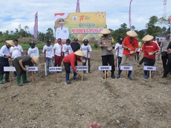 Canangkan Program Merdeka Pangan, Sulbar Genjot Produksi 2 Tanaman Ini