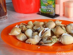 Sensasi Gonggong, Kuliner Enak Khas di Kepri yang Bikin Geli