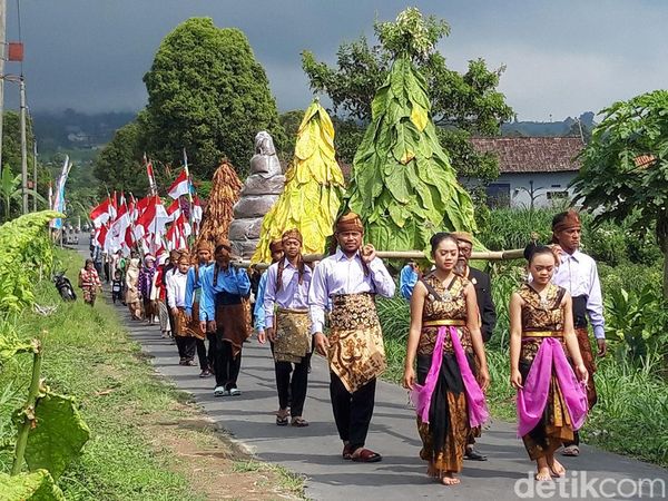 Kemeriahan Kirab Tembakau dan 77 Bendera Merah Putih di Lereng Merapi