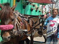 Perjuangan Imam dan Si Geboy Berburu Rupiah