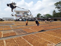 Mau Revisi Aturan Tembakau, Pemerintah Diminta Libatkan Konsumen