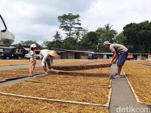 Tak Sepakat Cukai Tembakau Naik, Serikat Pekerja Kirim Surat ke Jokowi Tak Sepakat Cukai Tembakau Naik, Serikat Pekerja Kirim Surat ke Jokowi