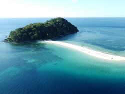 4 Zona Laut Berdasarkan Kedalamannya dan Spesies yang Mendiami