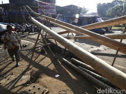 Pedagang Pohon Pinang di Medan Kebanjiran Pesanan Jelang 17 Agustus