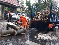Cuaca Ekstrem di Kota Malang, 39 Rumah Rusak dan 5 Pohon Tumbang