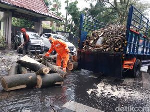 Cuaca Ekstrem di Kota Malang, 39 Rumah Rusak dan 5 Pohon Tumbang Cuaca Ekstrem di Kota Malang, 39 Rumah Rusak dan 5 Pohon Tumbang