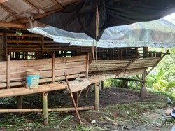 9 Kambing Milik Warga di Bogor Dicuri, Isi Perut Ditinggal di Kandang