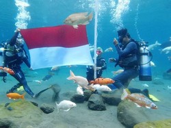 Nyentrik, Ada Upacara Bendera di Dalam Air Umbul Ponggok Klaten