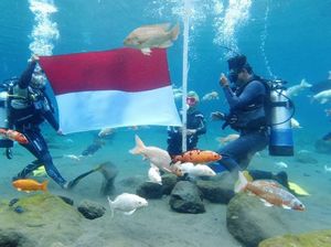 Nyentrik, Ada Upacara Bendera di Dalam Air Umbul Ponggok Klaten Nyentrik, Ada Upacara Bendera di Dalam Air Umbul Ponggok Klaten