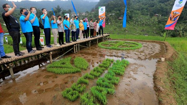 Upaya Meningkatkan Produktivitas Lahan dan Ekosistem Pertanian