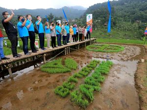 Upaya Meningkatkan Produktivitas Lahan dan Ekosistem Pertanian