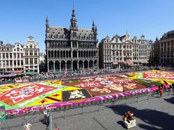 Hamparan Bunga Hiasi Grand Place Belgia, Indah Banget!