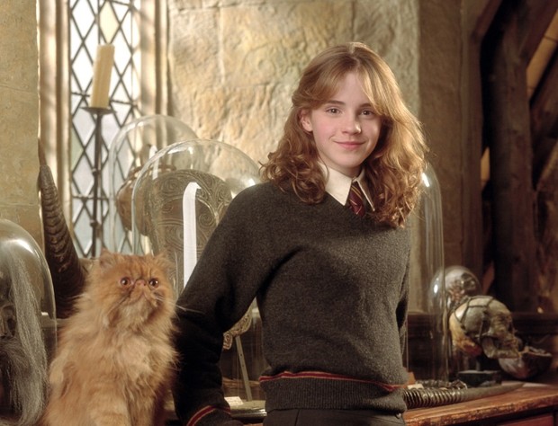 Hermione Granger/Foto: Pinterest.com/harrypotter.fandom.com Hermione Granger/Foto: Pinterest.com/harrypotter.fandom.com