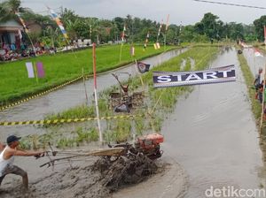 Seru Banget! Balap Traktor Peringati HUT RI di Kebonarum Klaten Seru Banget! Balap Traktor Peringati HUT RI di Kebonarum Klaten