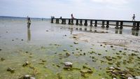 Potret Danau Terbesar di Italia Airnya Menyusut Akibat Kekeringan Parah