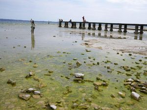 Potret Danau Terbesar di Italia Airnya Menyusut Akibat Kekeringan Parah Potret Danau Terbesar di Italia Airnya Menyusut Akibat Kekeringan Parah