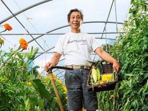 7 Daftar Sayuran Termahal di Dunia, Nomor 1 Capai Rp 100 Juta/Kg