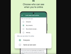 Cara Sembunyikan Status Online di WhatsApp, Dicoba Yuk!